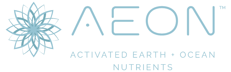 AeonLogo-Horizontal-Small